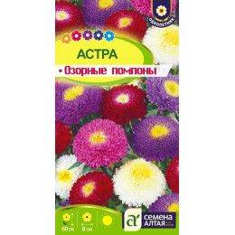 Цветы Астра Озорные Помпоны/Агрофирма 'Семена Алтая'/семена упакованы в цветном пакете 0,3 гр.