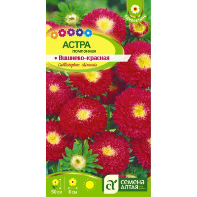 Цветы Астра Помпонная Вишнево-Красная/Агрофирма 'Семена Алтая'/семена упакованы в цветном пакете 0,2 гр.