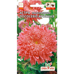 Цветы Астра Помпонная Лососево-Красная/Агрофирма 'Семена Алтая'/семена упакованы в цветном пакете 0,2 гр.