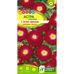 Цветы Астра Помпонная Темно-красная/Агрофирма 'Семена Алтая'/семена упакованы в цветном пакете 0,2 гр.