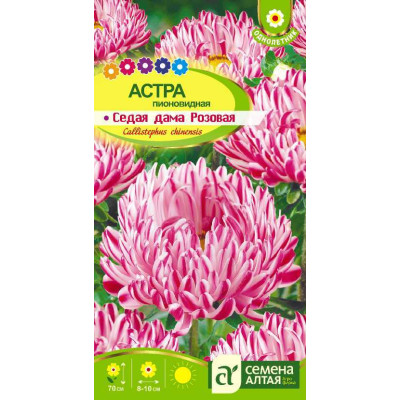 Цветы Астра Седая Дама Розовая/Агрофирма 'Семена Алтая'/семена упакованы в цветном пакете 0,2 гр.