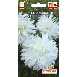 Цветы Астра Страусово Перо Белая/Агрофирма 'Семена Алтая'/семена упакованы в цветном пакете 0,3 гр.