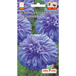 Цветы Астра Страусово Перо Лазурная/Агрофирма 'Семена Алтая'/семена упакованы в цветном пакете 0,3 гр.