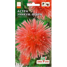 Цветы Астра Уникум Искра/Агрофирма 'Семена Алтая'/семена упакованы в цветном пакете 0,3 гр.
