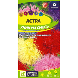 Цветы Астра Уникум Смесь/Агрофирма 'Семена Алтая'/семена упакованы в цветном пакете 0,3 гр.