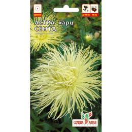 Цветы Астра Харц Сента/Агрофирма 'Семена Алтая'/семена упакованы в цветном пакете 0,3 гр.