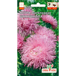 Цветы Астра Шиншилла коготковая/Агрофирма 'Семена Алтая'/семена упакованы в цветном пакете 0,2 гр.