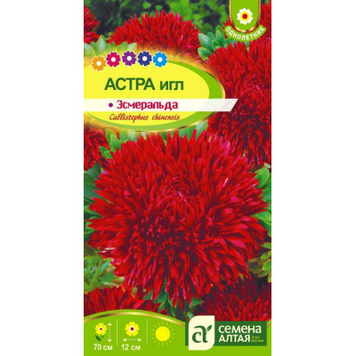 Цветы Астра Эсмеральда Игл/Агрофирма 'Семена Алтая'/семена упакованы в цветном пакете 0,2 гр.