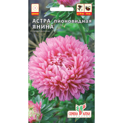 Цветы Астра Янина пионовидная/Агрофирма 'Семена Алтая'/семена упакованы в цветном пакете 0,2 гр.