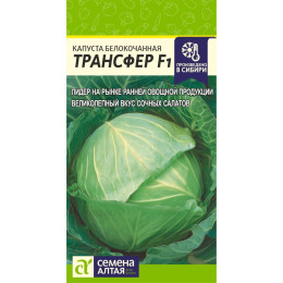 Капуста Трансфер/Агрофирма 'Семена Алтая'/семена упакованы в цветном пакете 0,3 гр.