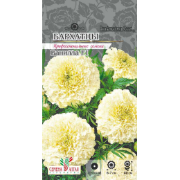Цветы Бархатцы Ванилла/Агрофирма 'Семена Алтая'/семена упакованы в цветном пакете 5 шт.