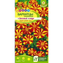 Цветы Бархатцы Веселый Клоун/Агрофирма 'Семена Алтая'/семена упакованы в цветном пакете 0,3 гр.