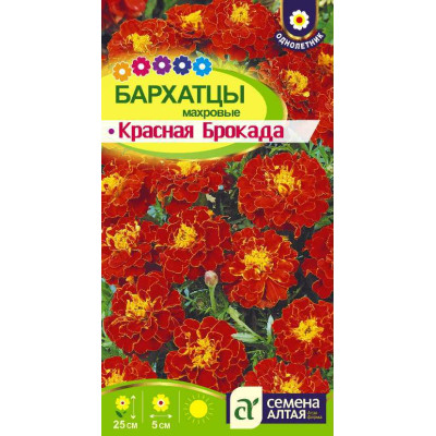 Цветы Бархатцы Красная Брокада махровые/Агрофирма 'Семена Алтая'/семена упакованы в цветном пакете 0,3 гр.