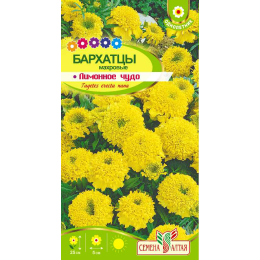 Цветы Бархатцы Лимонное Чудо/Агрофирма 'Семена Алтая'/семена упакованы в цветном пакете 0,3 гр.