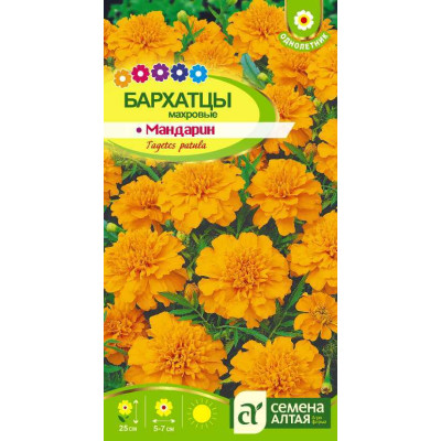 Цветы Бархатцы Мандарин махровые/Агрофирма 'Семена Алтая'/семена упакованы в цветном пакете 0,3 гр.