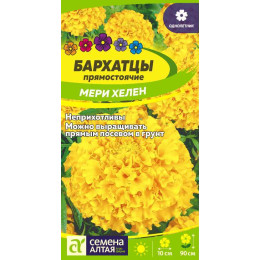Цветы Бархатцы Мери Хелен/Агрофирма 'Семена Алтая'/семена упакованы в цветном пакете 0,3 гр.