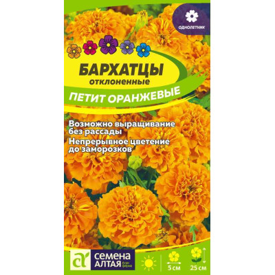 Цветы Бархатцы Петит Оранжевые махровые/Агрофирма 'Семена Алтая'/семена упакованы в цветном пакете 0,3 гр.