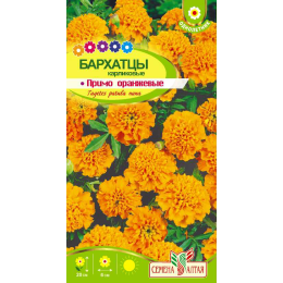 Цветы Бархатцы Примо Оранжевые карликовые/Агрофирма 'Семена Алтая'/семена упакованы в цветном пакете 0,2 гр.