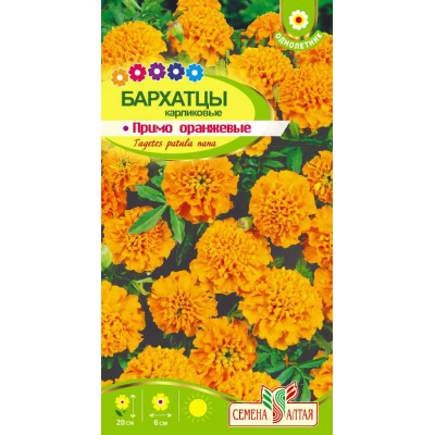 Цветы Бархатцы Примо Оранжевые карликовые/Агрофирма 'Семена Алтая'/семена упакованы в цветном пакете 0,2 гр.