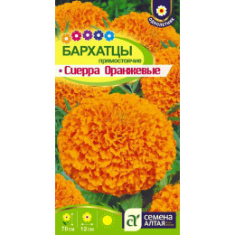 Цветы Бархатцы Сиерра Оранжевые/Агрофирма 'Семена Алтая'/семена упакованы в цветном пакете 0,3 гр.