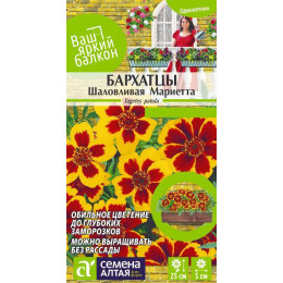 Цветы Бархатцы Шаловливая Мариетта/Агрофирма 'Семена Алтая'/семена упакованы в цветном пакете 0,3 гр. Ваш яркий балкон