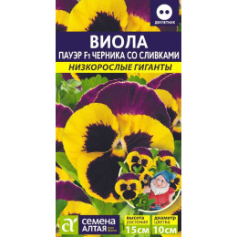 Цветы Виола Пауэр Черника со сливками F1/Агрофирма 'Семена Алтая'/семена упакованы в цветном пакете 5 шт. Низкорослые гиганты