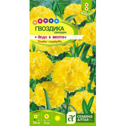 Цветы Гвоздика гренадин Леди в желтом/Агрофирма 'Семена Алтая'/семена упакованы в цветном пакете 0,1 гр. двулетник