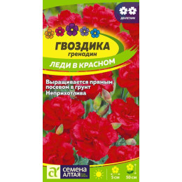 Цветы Гвоздика гренадин Леди в красном/Агрофирма 'Семена Алтая'/семена упакованы в цветном пакете 0,1 гр. двулетник