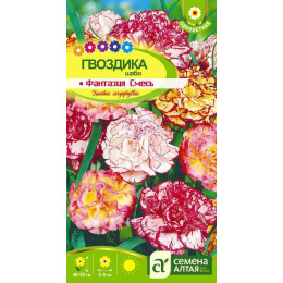 Цветы Гвоздика Шабо Фантазия смесь/Агрофирма 'Семена Алтая'/семена упакованы в цветном пакете 0,1 гр.
