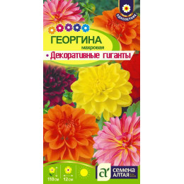 Цветы Георгина Декоративные гиганты/Агрофирма 'Семена Алтая'/семена упакованы в цветном пакете 0,2 гр.