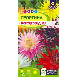 Цветы Георгина Кактусовидная смесь/Агрофирма 'Семена Алтая'/семена упакованы в цветном пакете 0,1гр.