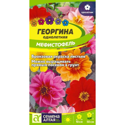 Цветы Георгина Мефистофель/Агрофирма 'Семена Алтая'/семена упакованы в цветном пакете 0,2 гр.