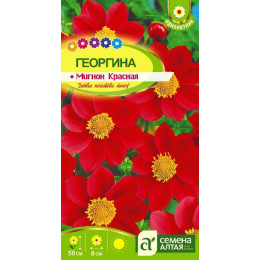 Цветы Георгина Мигнон Красная/Агрофирма 'Семена Алтая'/семена упакованы в цветном пакете 0,2 гр.