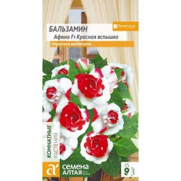 Цветы Бальзамин Афина Красная вспышка/Агрофирма 'Семена Алтая'/семена упакованы в цветном пакете 5 шт.