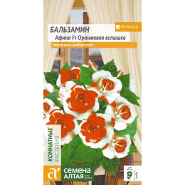 Цветы Бальзамин Афина Оранжевая вспышка/Агрофирма 'Семена Алтая'/семена упакованы в цветном пакете 5 шт.
