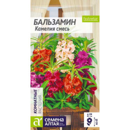 Цветы Бальзамин Камелия смесь/Агрофирма 'Семена Алтая'/семена упакованы в цветном пакете 0,2 гр.