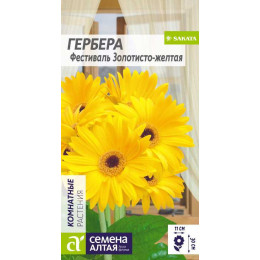 Цветы Гербера Фестиваль Золотисто-желтая/Агрофирма 'Семена Алтая'/семена упакованы в цветном пакете 3 шт.