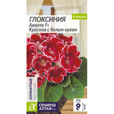 Цветы Глоксиния Аванти Красная с белым краем/Агрофирма 'Семена Алтая'/семена упакованы в цветном пакете 8 шт.