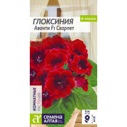 Цветы Глоксиния Аванти Скарлет F1/Агрофирма 'Семена Алтая'/семена упакованы в цветном пакете 8 шт.