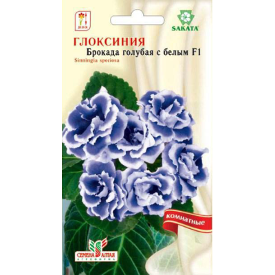 Цветы Глоксиния Брокада Голубая с белым краем/Агрофирма 'Семена Алтая'/семена упакованы в цветном пакете 8 шт.