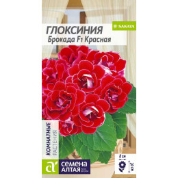Цветы Глоксиния Брокада Красная F1/Агрофирма 'Семена Алтая'/семена упакованы в цветном пакете 8 шт.