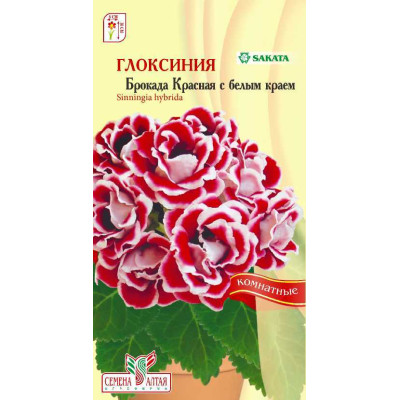 Цветы Глоксиния Брокада Красная с белым краем/СемАлт/семена упакованы в цветном пакете 8 шт.