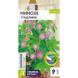 Цветы Мимоза Стыдливая/Агрофирма 'Семена Алтая'/семена упакованы в цветном пакете 0,2 гр.