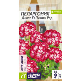 Цветы Пеларгония Дивас Пикоти Ред зональная/Агрофирма 'Семена Алтая'/семена упакованы в цветном пакете 4 шт.