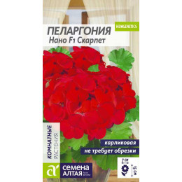 Цветы Пеларгония Нано Скарлет/Агрофирма 'Семена Алтая'/семена упакованы в цветном пакете 3 шт.