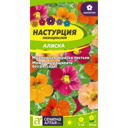 Цветы Настурция Аляска низкорослая/Агрофирма 'Семена Алтая'/семена упакованы в цветном пакете 1 гр.