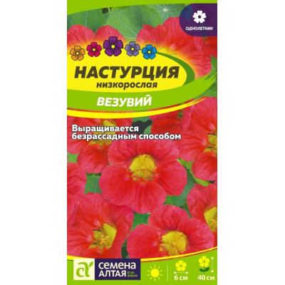 Цветы Настурция Везувий низкорослая/Агрофирма 'Семена Алтая'/семена упакованы в цветном пакете 0,5 гр.