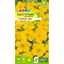 Цветы Настурция Золотой Шар низкорослая/Агрофирма 'Семена Алтая'/семена упакованы в цветном пакете 0,5 гр.