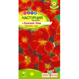 Цветы Настурция Красный Блик большая/Агрофирма 'Семена Алтая'/семена упакованы в цветном пакете 1 гр.