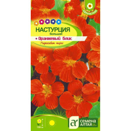 Цветы Настурция Оранжевый Блик большая/Агрофирма 'Семена Алтая'/семена упакованы в цветном пакете 1 гр.